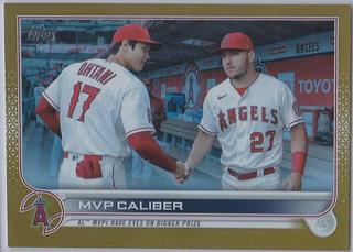 Mike Trout / Shohei Ohtani