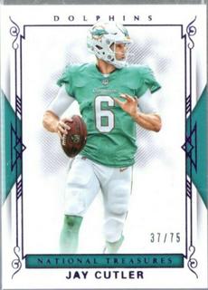 Jay Cutler