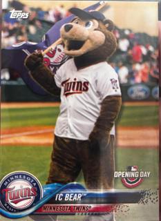TC Bear