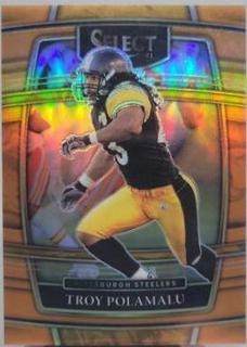 Troy Polamalu