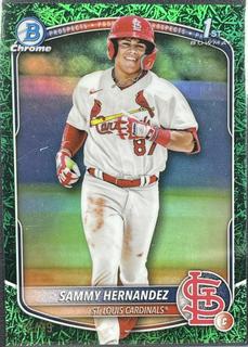 Sammy Hernandez