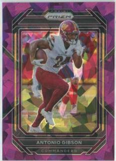 Antonio Gibson