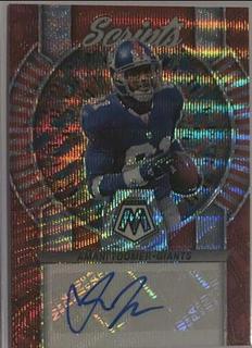 Amani Toomer