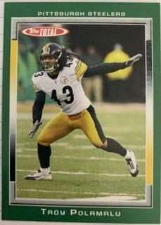 Troy Polamalu