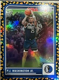 PJ Washington Jr.