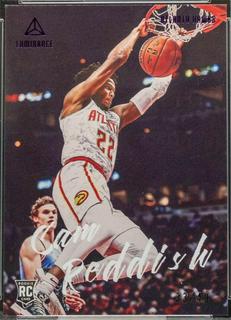 Cam Reddish