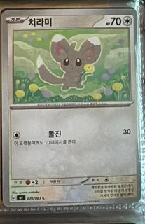Minccino
