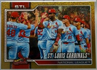 Team Card