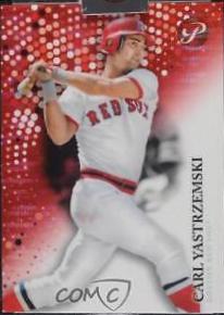 Carl Yastrzemski
