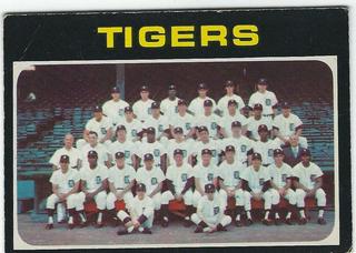 Tigers Team
