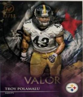 Troy Polamalu