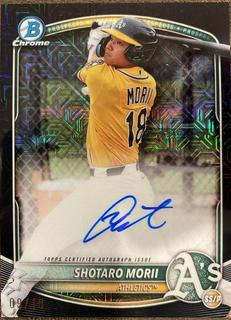 Shotaro Morii