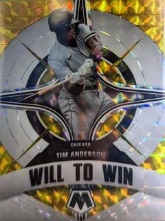 Tim Anderson