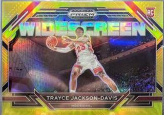 Trayce Jackson Davis