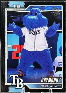 Raymond Tampa Bay Rays