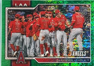 Team Card
