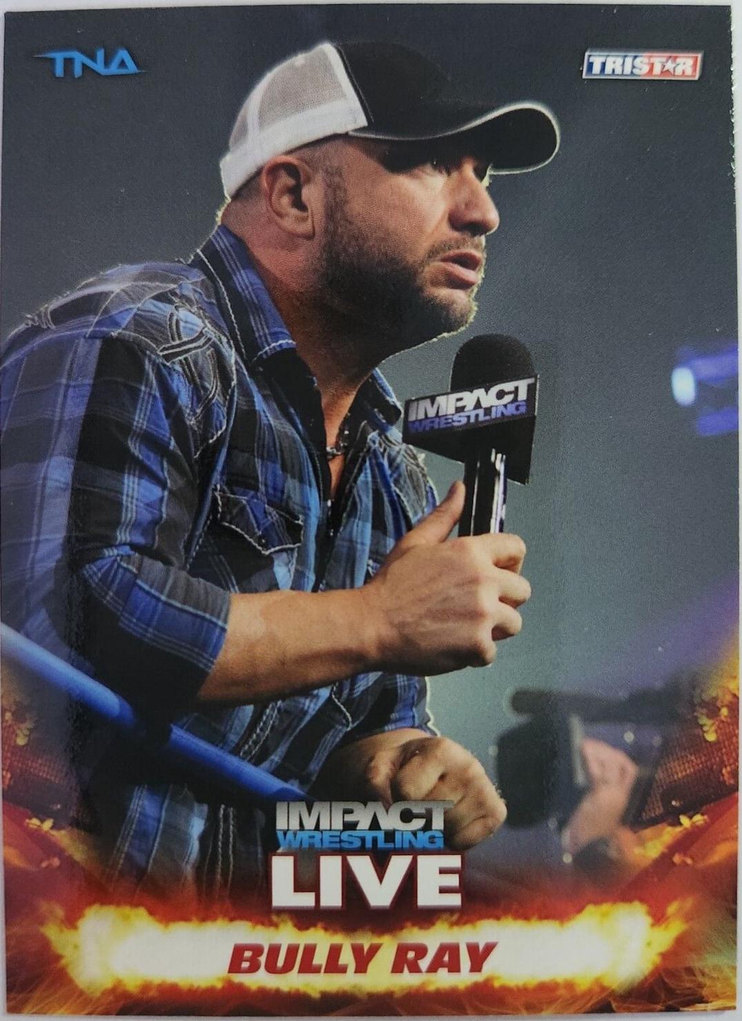 Bully Ray #10 Wrestling Cards 2013 TriStar TNA Impact Live