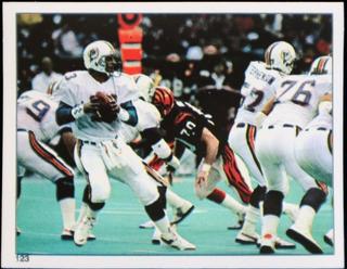 Miami Dolphins Action