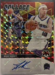 Mike Bibby