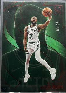 Jaylen Brown