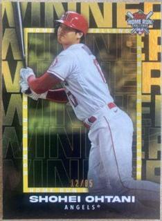 Shohei Ohtani