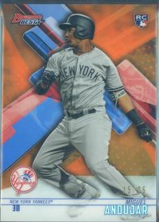 Miguel Andujar