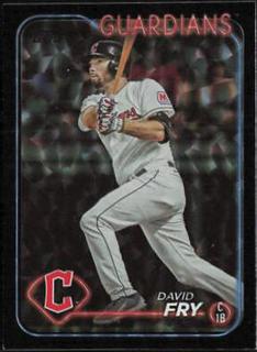 David Fry