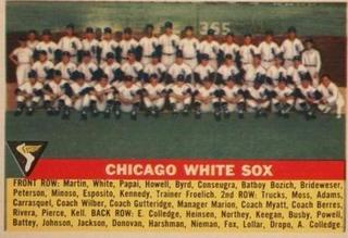 White Sox Team