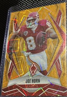 Joe Horn