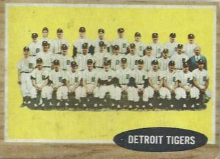 Tigers Team