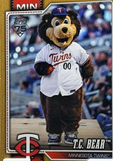 T.C. Bear Minnesota Twins