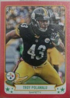 Troy Polamalu
