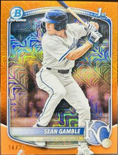 Sean Gamble