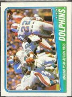 Dolphins TeamLeaders