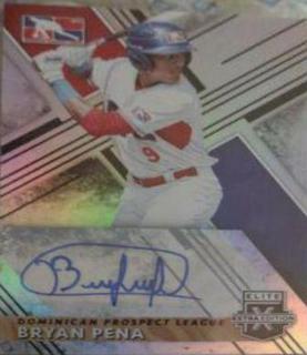 Bryan Pena