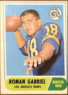 Roman Gabriel