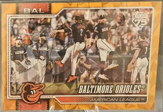 Team Card