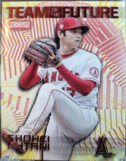 Shohei Ohtani