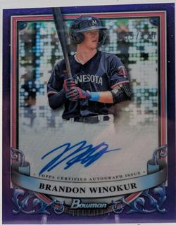 Brandon Winokur