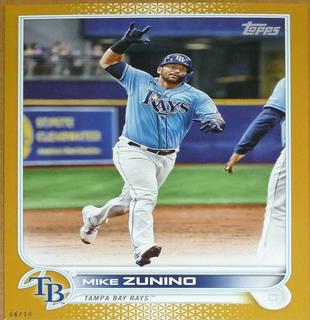 Mike Zunino