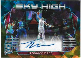 Terance Mann