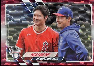 Shohei Ohtani / Kohei Arihara