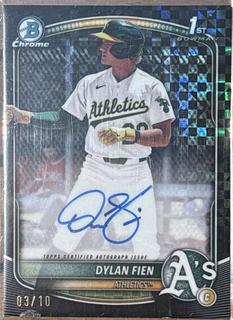 Dylan Fien