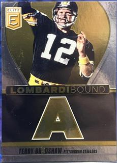 Terry Bradshaw