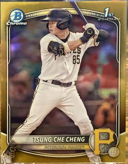 Tsung-Che Cheng