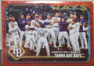 Tampa Bay Rays