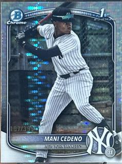 Mani Cedeno