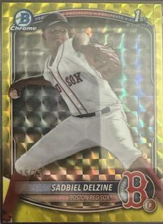 Sadbiel Delzine