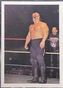 Paul Ellering #18 Wrestling Cards 1988 Wonderama NWA