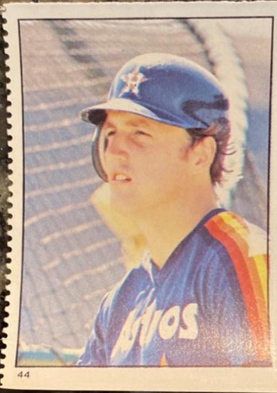 Terry Puhl #44 Baseball Cards 1982 Fleer Stamps